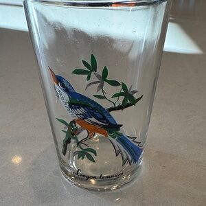 Colorful Bird Design Glass Tumbler